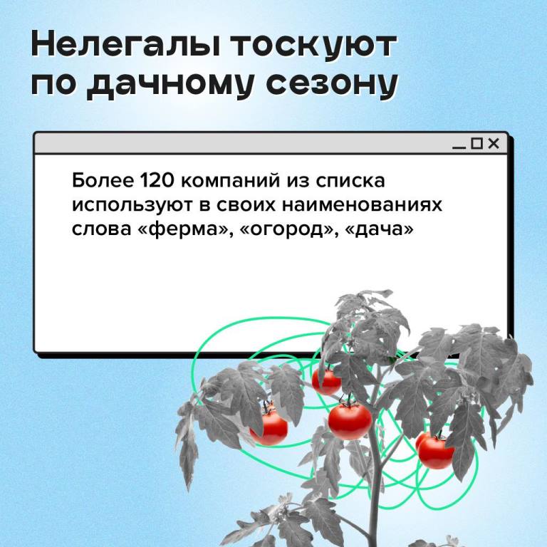 Финансовые пирамиды